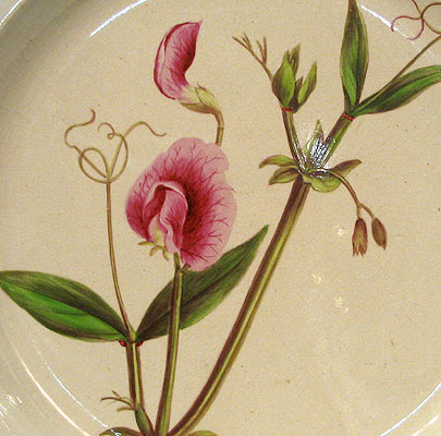 Ceramics<br>Ceramics Archives<br>SOLD  An English Creamware Botanical Plate
