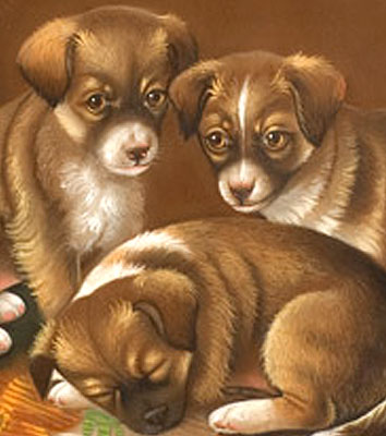 Paintings<br>Archives<br>SOLD Portrait of Three Puppies
